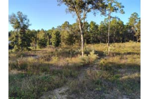 MLS# MFRS5114463, Dunnellon, Florida 34432