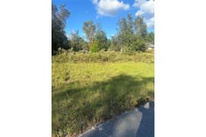 UNDETERMINED CIR, DUNNELLON, FL 34432 - MLS#MFRS5114755