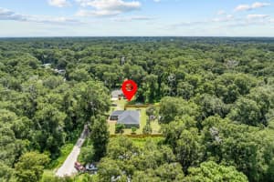 4090 143RD PLACE, SUMMERFIELD, FL 34491 Sold 12/12/24