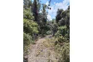 0 KINGS POINT BOULEVARD, KISSIMMEE, FL 34744 - MLS#MFRS5114931