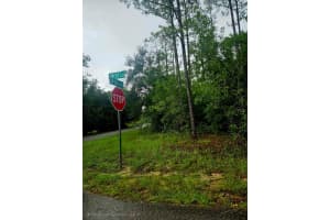 SOUTHWEST 206TH COURT RD, DUNNELLON, FL 34431 - MLS#MFRS5115141