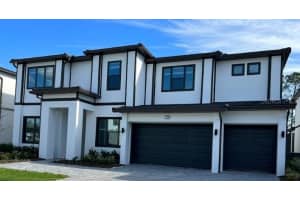 1427 Butterfly Milkweed, DAVENPORT