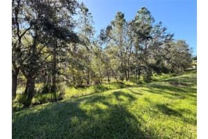 277 SCRIPPS RANCH ROAD, KISSIMMEE, FL 34759 Sold 03/27/25