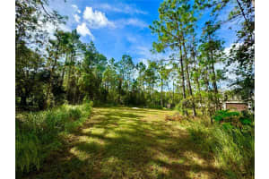 11518 RAMBLING OAK BOULEVARD, ORLANDO, FL 32832 Sold 06/23/25