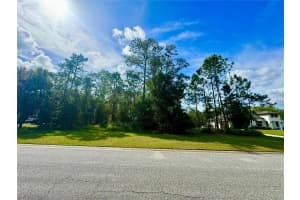 11518 RAMBLING OAK BOULEVARD, ORLANDO, FL 32832 Sold 06/23/25