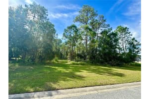 11518 RAMBLING OAK BOULEVARD, ORLANDO, FL 32832 Sold 06/23/25