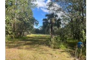 6805 SUGARBUSH LANE, POLK CITY, FL 33868 Sold 04/25/25