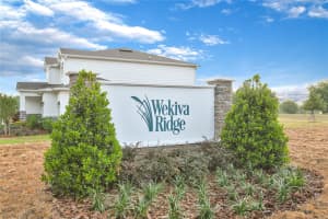 3864 DEER RIDGE DRIVE, MOUNT DORA, FL 32757 Sold 05/16/25