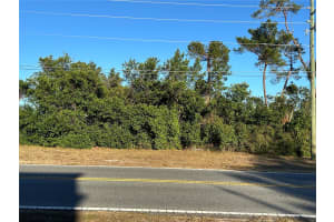 0 DELTONA BOULEVARD, SPRING HILL, FL 34606 - MLS#MFRS5116268