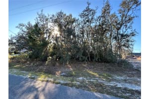 0 AMERO LANE, SPRING HILL, FL 34609 - MLS#MFRS5116270
