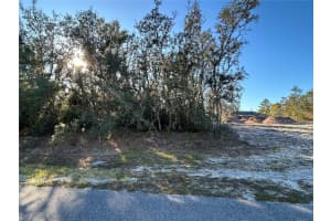 0 AMERO LANE, SPRING HILL, FL 34609 - MLS#MFRS5116270