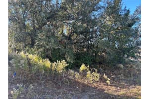 0 AMERO LANE, SPRING HILL, FL 34609 - MLS#MFRS5116270