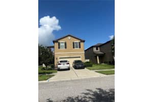 6327 Yellow Buckeye Dr #6327, RIVERVIEW