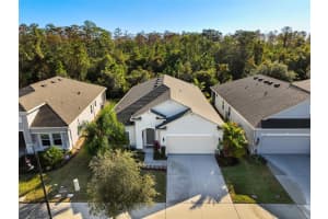 3374 SAGEBRUSH ST, HARMONY, FL 34773 Sold 03/03/25