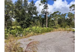 18150 11TH AVENUE, ORLANDO, FL 32833 Sold 01/28/25