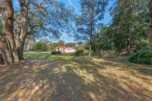 1042 MYERS BOULEVARD, MASCOTTE, FL 34753 Sold 04/15/25