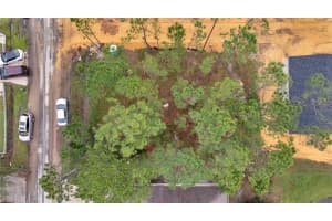 45 PETERLEE COURT, KISSIMMEE, FL 34758 Sold 05/15/25