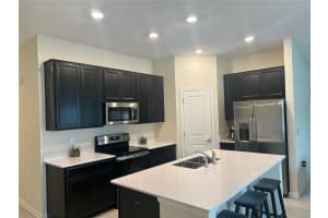 16487 GLASSY LOCH LOOP, CLERMONT, FL 34714 Sold 03/24/25