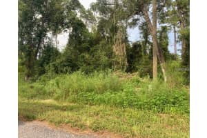 1245 7TH AVENUE, DELAND, FL 32724 Sold 02/06/25