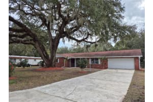 802 PETERS STREET, WILDWOOD, FL 34785 Sold 04/30/25