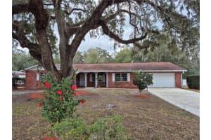 802 PETERS STREET, WILDWOOD, FL 34785 Sold 04/30/25