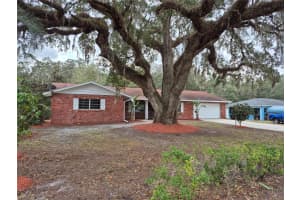 802 PETERS STREET, WILDWOOD, FL 34785 Sold 04/30/25