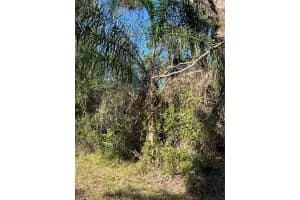 510 CALLIANDRA DRIVE, INDIAN LAKE ESTATES, FL 33855 - MLS#MFRS5118747
