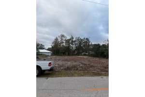 1495 CARRINGTON AVENUE, SEBRING, FL 33875 - MLS#MFRS5119056