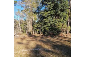 MLS# MFRS5119343, Ocala, Florida 34476