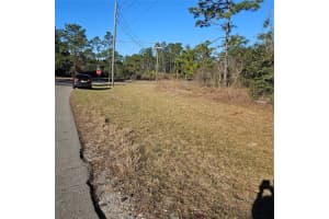 MLS# MFRS5119343, Ocala, Florida 34476