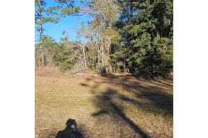 MLS# MFRS5119343, Ocala, Florida 34476