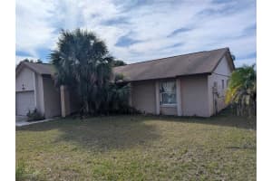 12142 CAPER STREET, ORLANDO, FL 32837 Sold 03/24/25