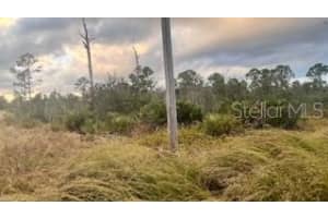 215 VIREO AVENUE, SEBRING, FL 33870 Sold 06/20/25