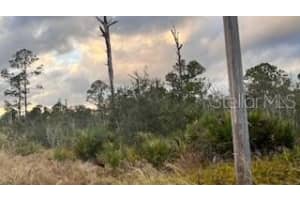 215 VIREO AVENUE, SEBRING, FL 33870 Sold 06/20/25