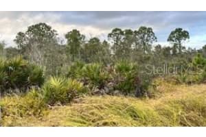 215 VIREO AVENUE, SEBRING, FL 33870 Sold 06/20/25
