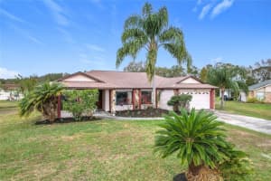 3039 CHINA BERRY COURT, KISSIMMEE, FL 34746 Sold 06/26/25