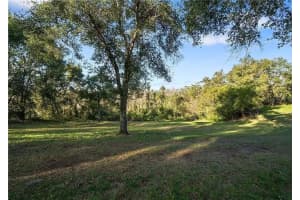 15741 OLD HIGHWAY 50, CLERMONT, FL 34711 - MLS#MFRS5120523