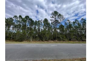 PADDOCK ST, ORLANDO, FL 32833 - MLS#MFRS5120566