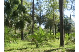 8674 SWEETWATER TRAIL, KISSIMMEE, FL 34747 Sold 07/18/25