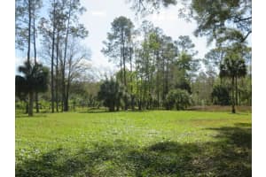 8674 SWEETWATER TRAIL, KISSIMMEE, FL 34747 Sold 07/18/25