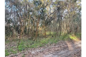 0 NW 17TH ST #11, OCALA, FL 34482 - MLS#MFRS5120837