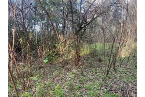 0 NW 17TH ST #11, OCALA, FL 34482 - MLS#MFRS5120837