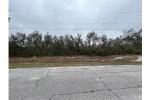 509 SARASOTA LANE, KISSIMMEE, FL 34759 - MLS#MFRS5121055