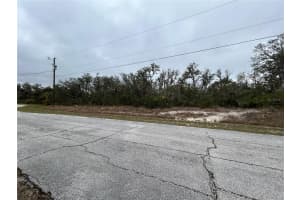 509 SARASOTA LANE, KISSIMMEE, FL 34759 - MLS#MFRS5121055