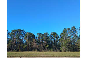 INTERNATIONAL DR S, ORLANDO, FL 32821 - MLS#MFRS5121181