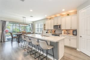 16694 OLIVE HILL DRIVE, WINTER GARDEN, FL 34787 Sold 06/03/25