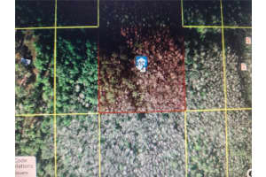 SWEETWATER TRL, KISSIMMEE, FL 34747 Sold 06/12/25