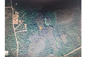 SWEETWATER TRL, KISSIMMEE, FL 34747 Sold 06/12/25