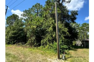 14346 79TH TERRACE, OCALA, FL 34473 Sold 03/25/25