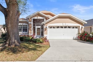365 CHINA BERRY CIRCLE, DAVENPORT, FL 33837 Sold 04/22/25
